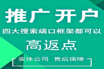 成功案例分享：SEM推广策略的制定与执行
